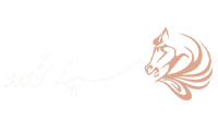 مشتری 1